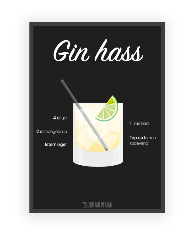 Gin Hass 1 Liter at Philip Lane blog